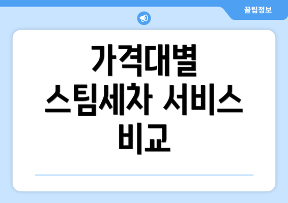 가격대별 스팀세차 서비스 비교