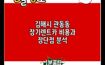 김해시 관동동 장기렌트카 비용과 장단점 분석