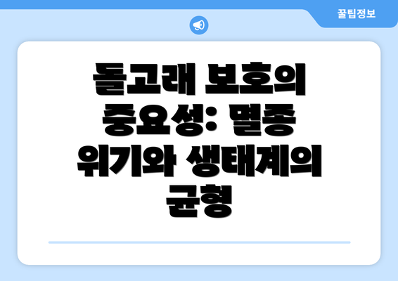 돌고래 보호의 중요성: 멸종 위기와 생태계의 균형