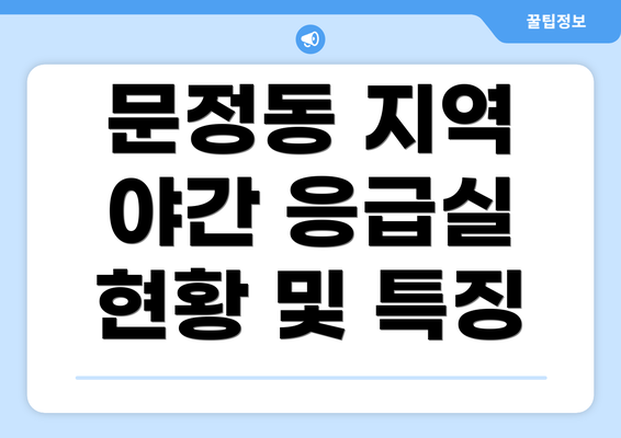 문정동 지역 야간 응급실 현황 및 특징