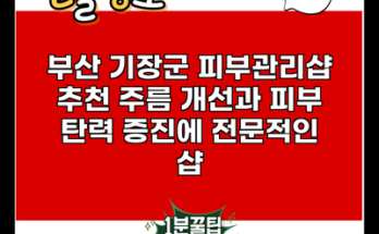 부산 기장군 피부관리샵 추천 주름 개선과 피부 탄력 증진에 전문적인 샵