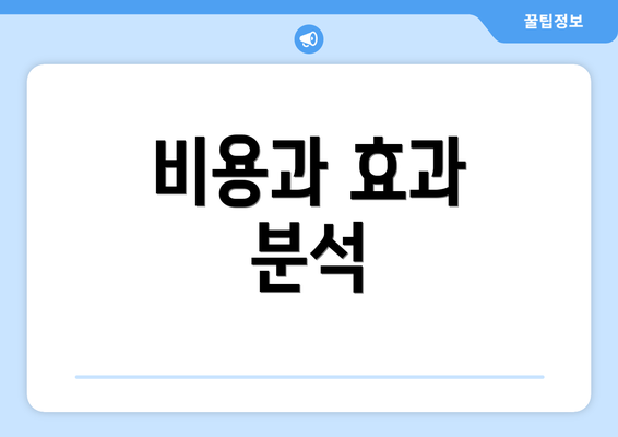 비용과 효과 분석