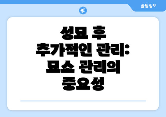 성묘 후 추가적인 관리: 묘소 관리의 중요성