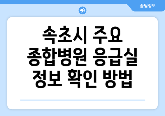 속초시 주요 종합병원 응급실 정보 확인 방법