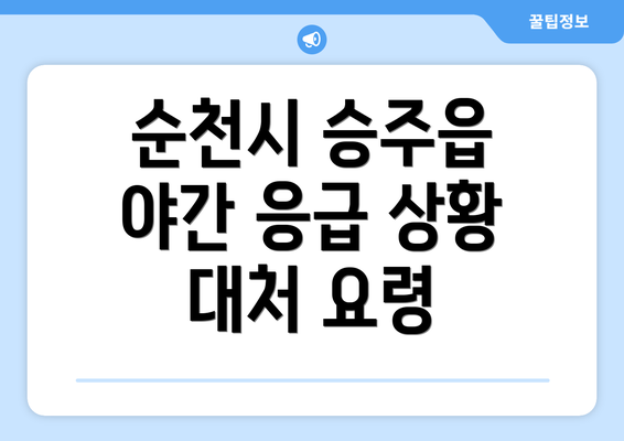 순천시 승주읍 야간 응급 상황 대처 요령