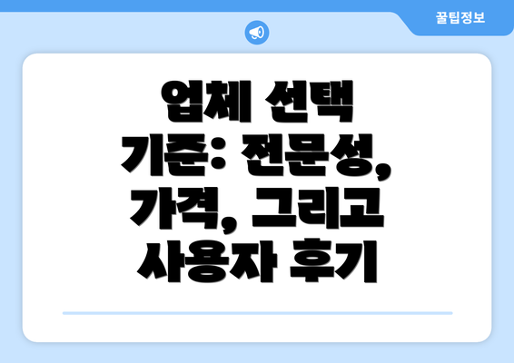 업체 선택 기준: 전문성, 가격, 그리고 사용자 후기