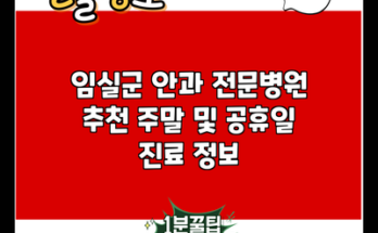 임실군 안과 전문병원 추천 주말 및 공휴일 진료 정보