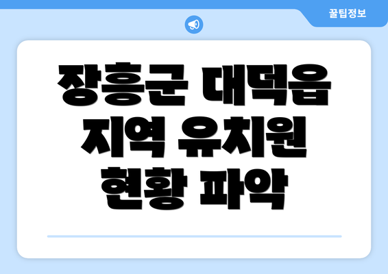 장흥군 대덕읍 지역 유치원 현황 파악