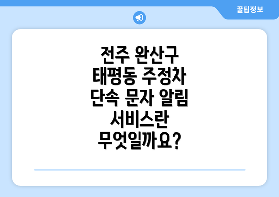 전주 완산구 태평동 주정차 단속 문자 알림 서비스란 무엇일까요?