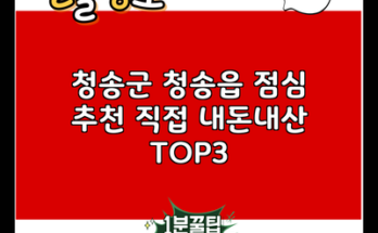 청송군 청송읍 점심 추천 직접 내돈내산 TOP3