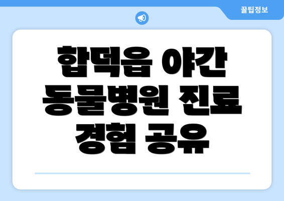 합덕읍 야간 동물병원 진료 경험 공유