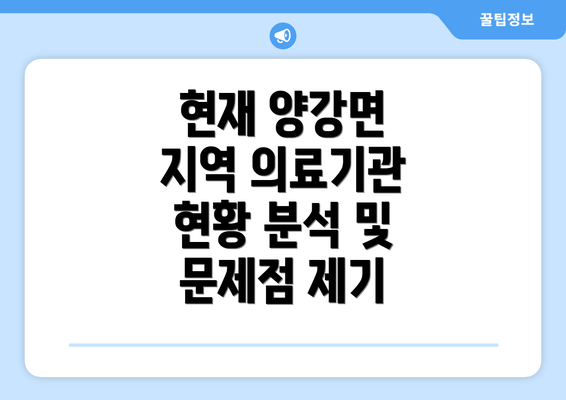 현재 양강면 지역 의료기관 현황 분석 및 문제점 제기