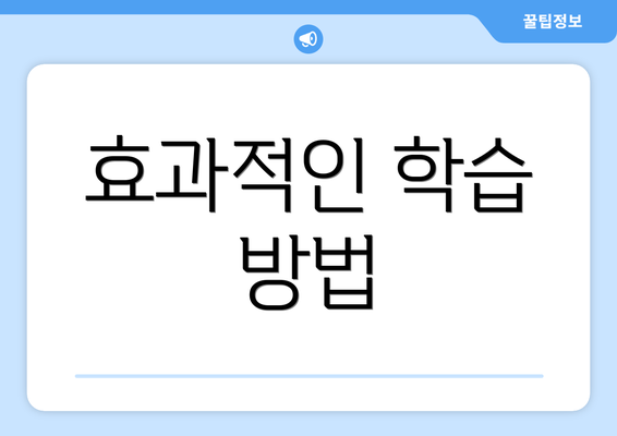 효과적인 학습 방법